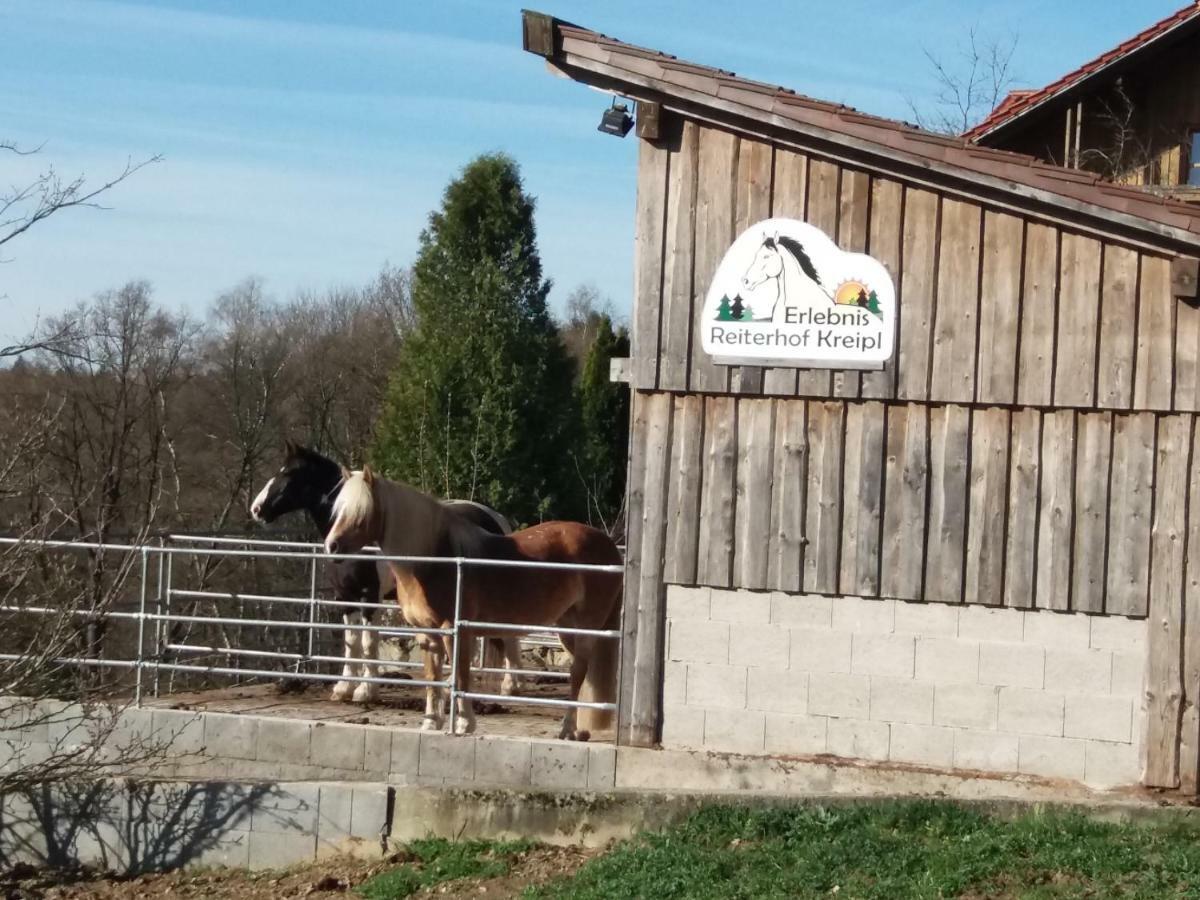 Ferienwohnung Auf Dem Erlebnisreiterhof Kreipl Grattersdorf Εξωτερικό φωτογραφία